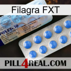 Filagra FXT 39
